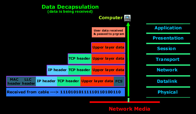 View of networks